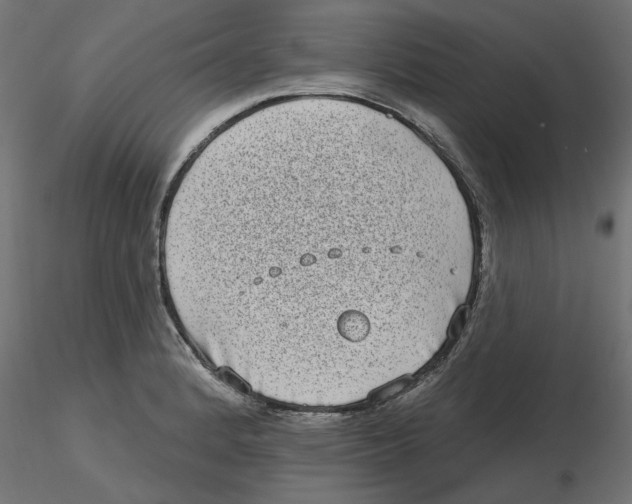 X0000116771184201001071210