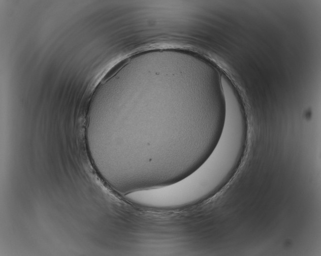 X0000116771185201001071210