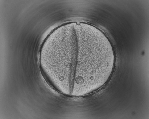 X0000116771188201001071210