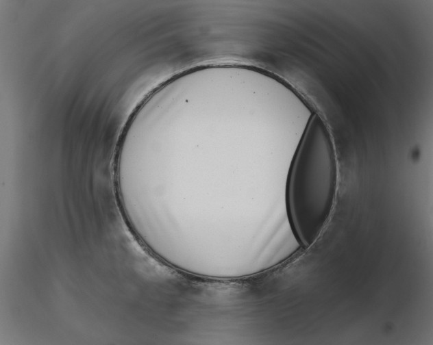 X0000116771189201001071210