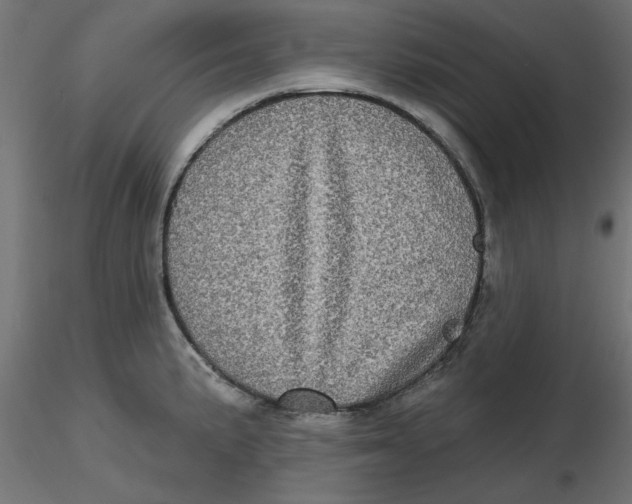 X0000116771191201001071210