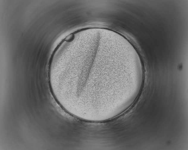 X0000116771192201001071210