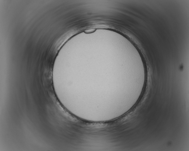 X0000116771193201001071210