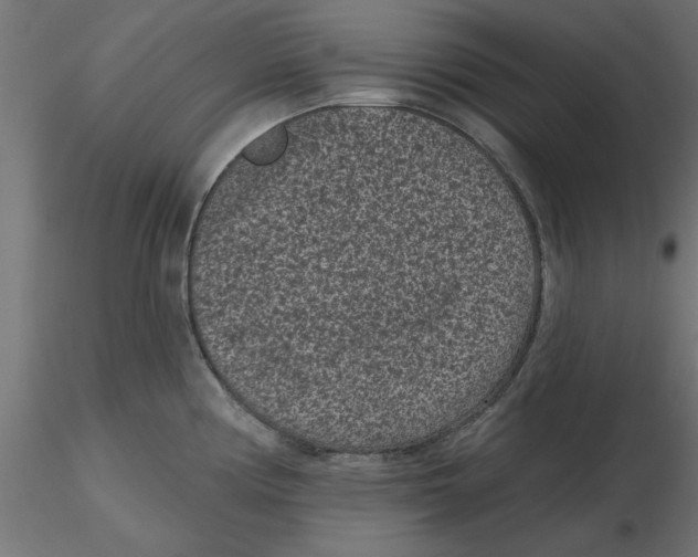 X0000116771194201001071210