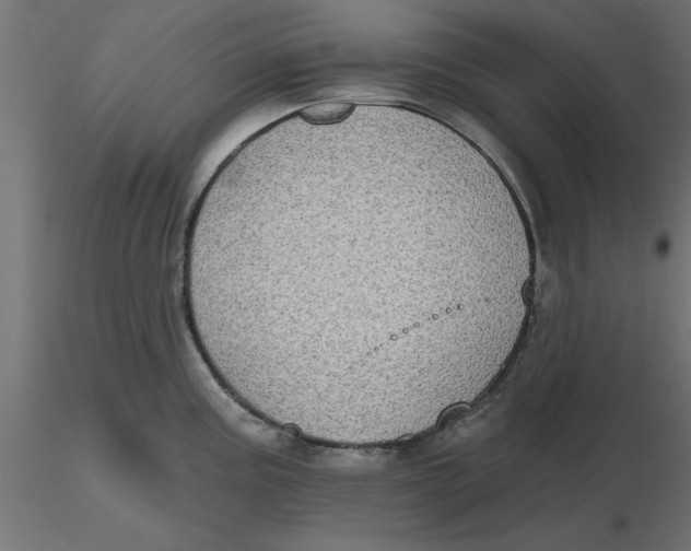 X0000116771195201001071210