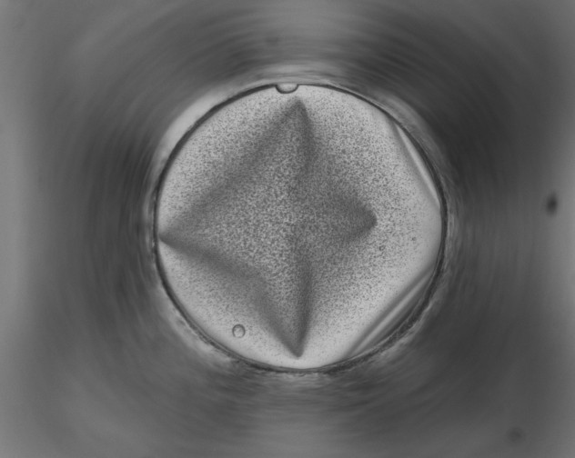 X0000116771196201001071209