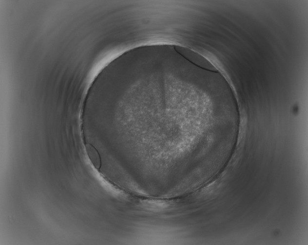 X0000116771197201001071209