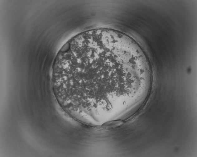 X0000116771198201001071209