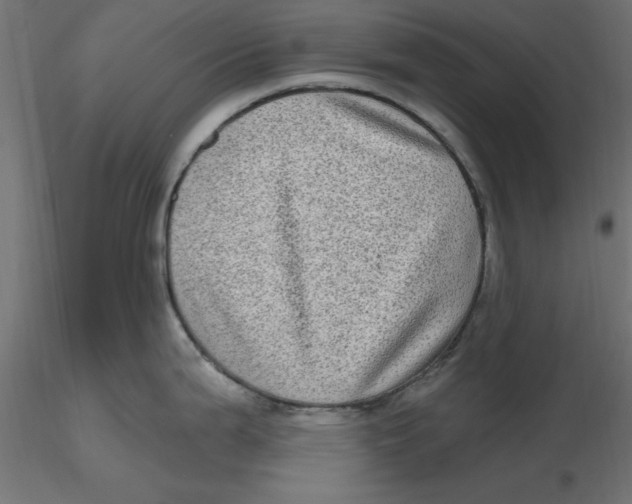 X0000116771199201001071209