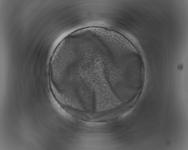 X0000116771200201001071209