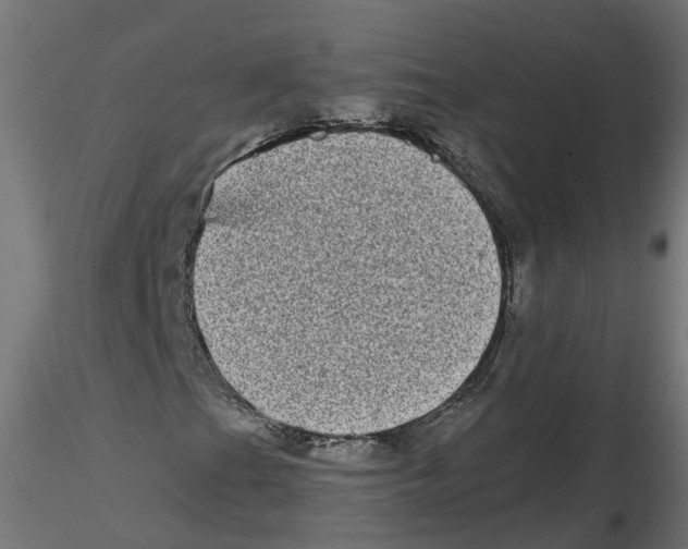 X0000116771201201001071209