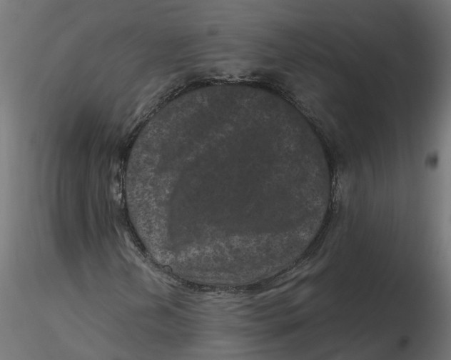 X0000116771202201001071209