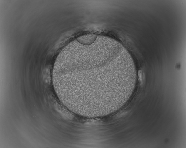 X0000116771203201001071209