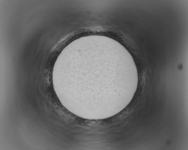 X0000116771205201001071209