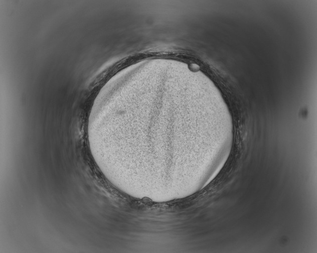 X0000116771206201001071209