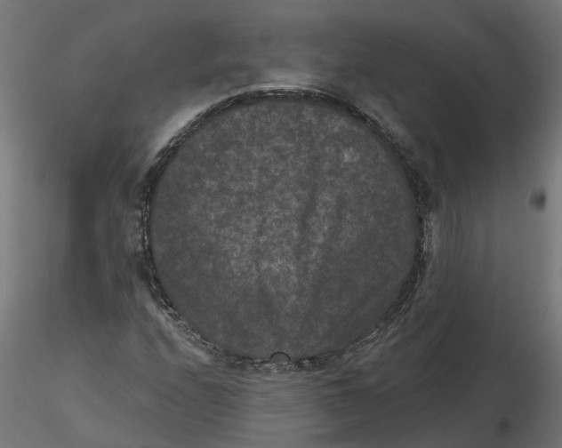 X0000116771208201001071209