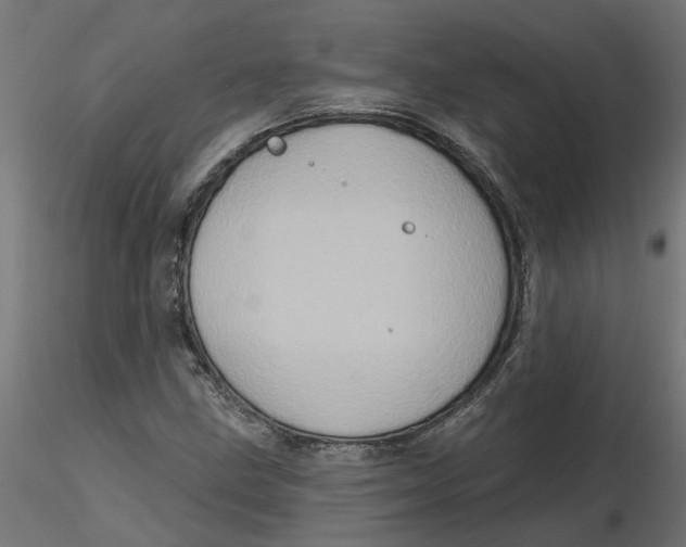 X0000116771211201001071209