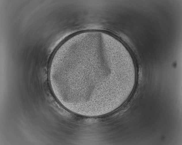 X0000116771212201001071209