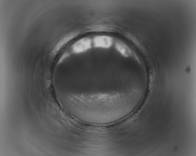 X0000116771213201001071209