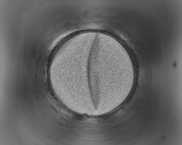 X0000116771214201001071209