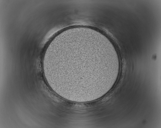 X0000116771215201001071209