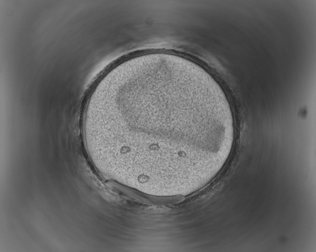 X0000116771216201001071209