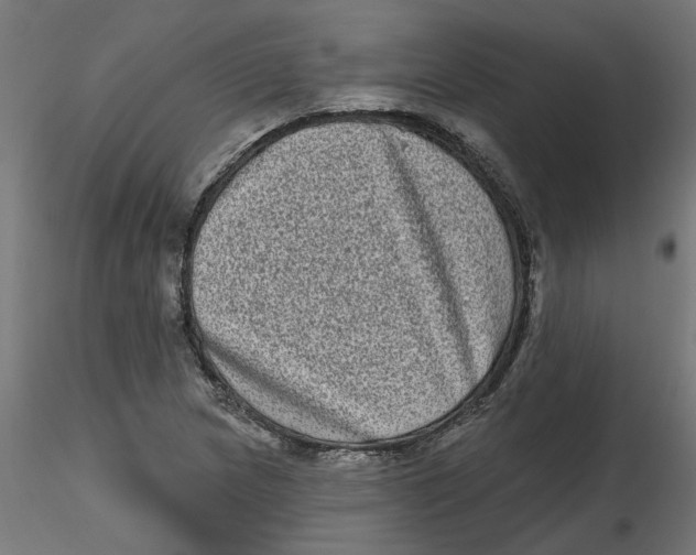 X0000116771217201001071209