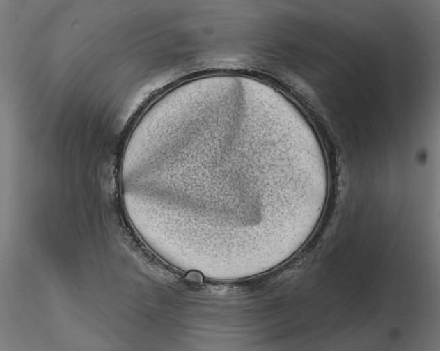 X0000116771218201001071209