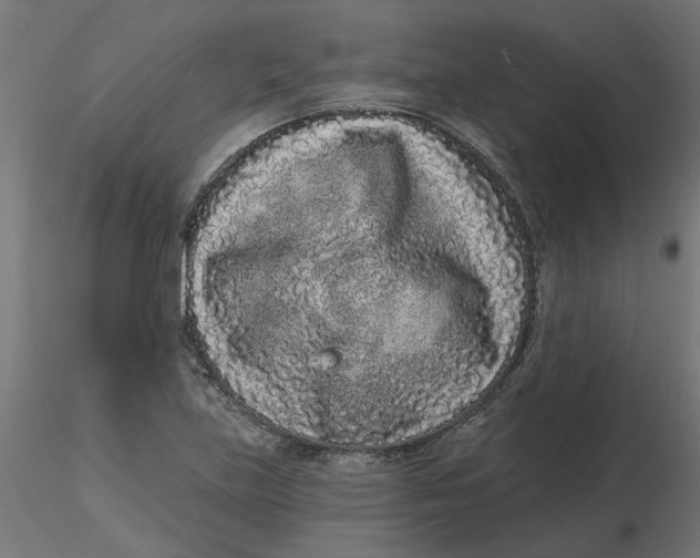 X0000116771219201001071209