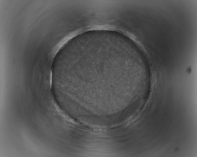 X0000116771221201001071209