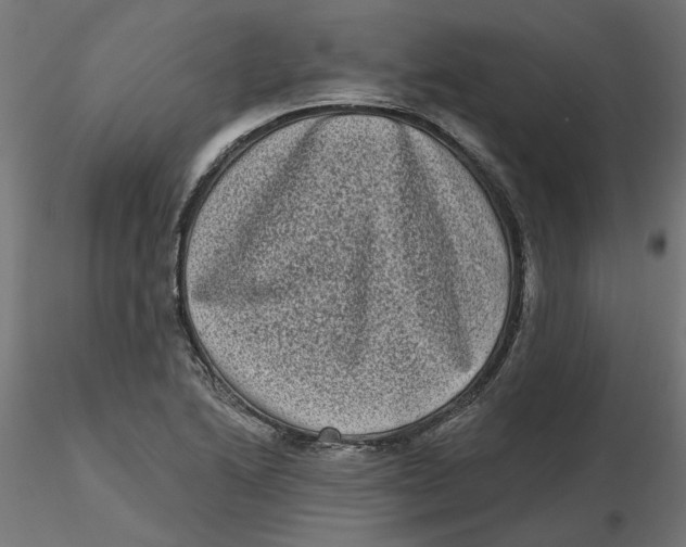 X0000116771222201001071209