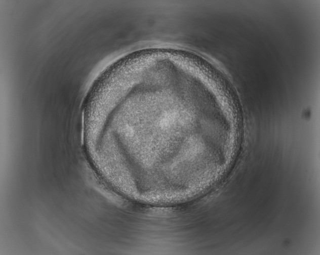 X0000116771223201001071209