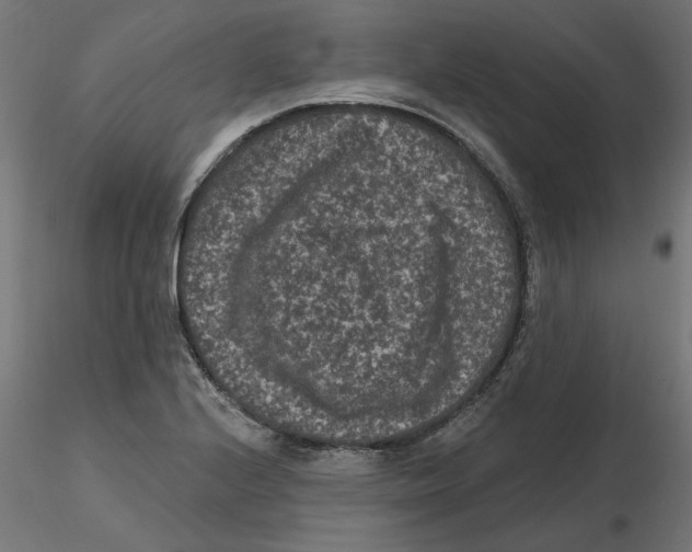 X0000116771224201001071209