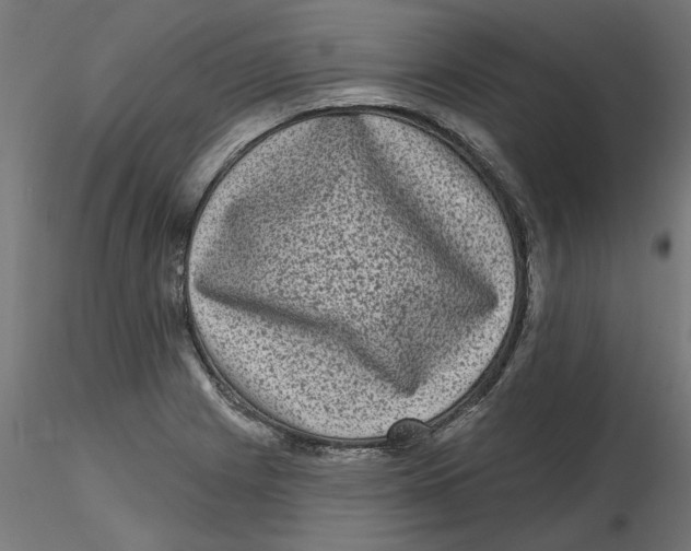 X0000116771225201001071209