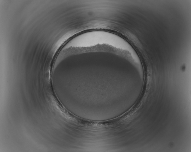 X0000116771226201001071209