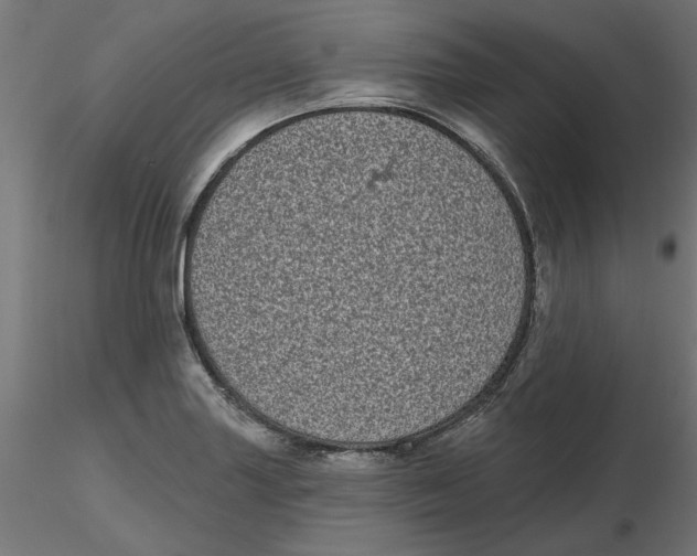 X0000116771227201001071209