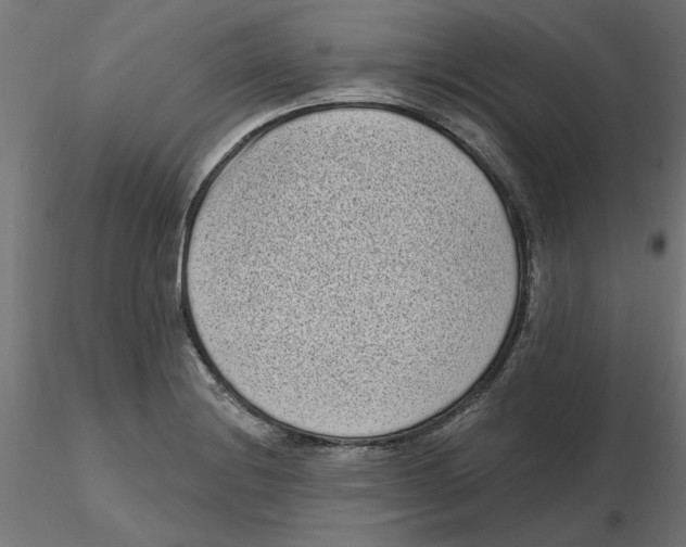 X0000116771228201001071209