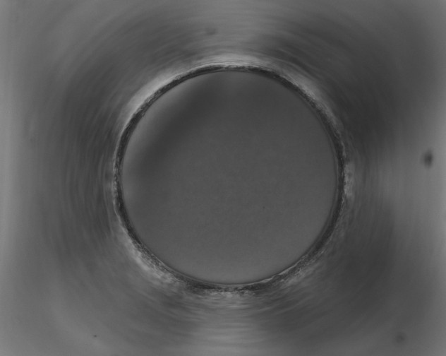 X0000116771229201001071209