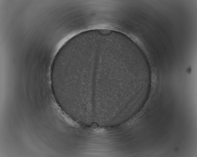 X0000116771230201001071209