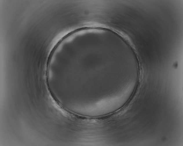 X0000116771231201001071209