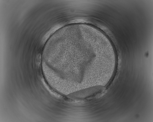 X0000116771233201001071209