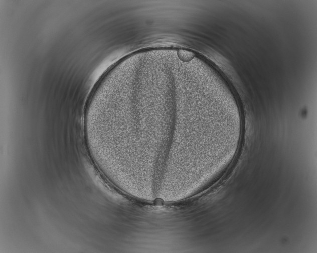 X0000116771234201001071209