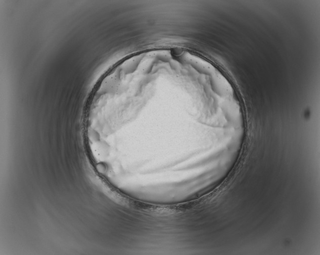 X0000116771235201001071209