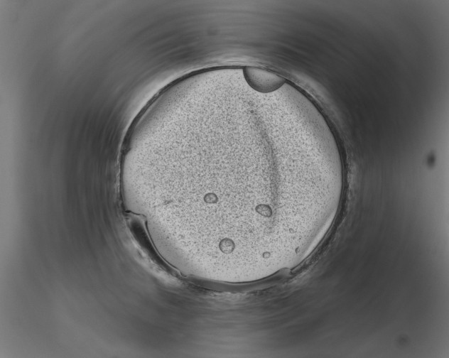 X0000116771236201001071209