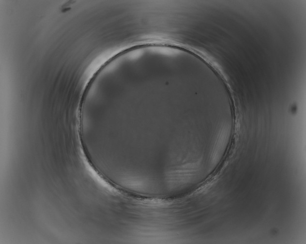 X0000116771239201001071209