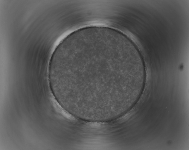 X0000116771240201001071209