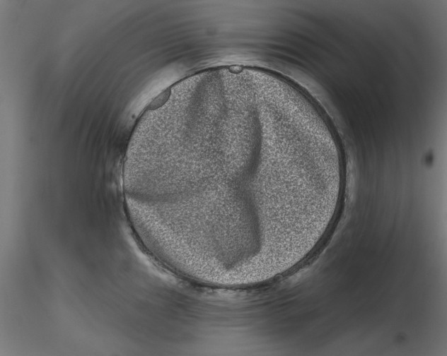 X0000116771241201001071209