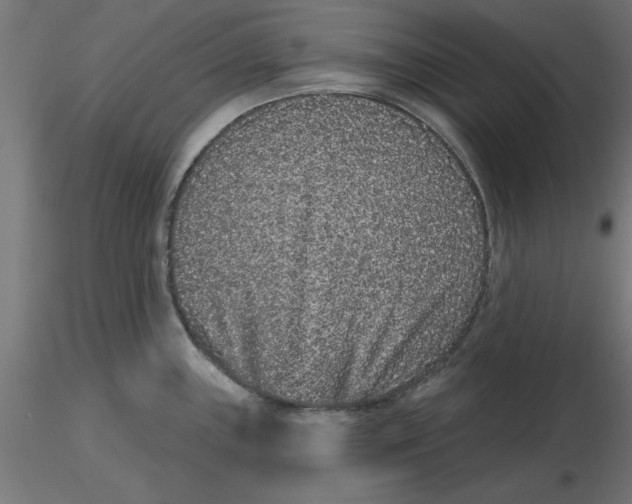 X0000116771243201001071209