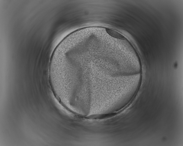 X0000116771244201001071209