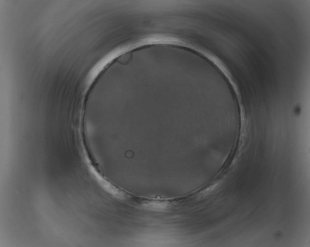 X0000116771245201001071209